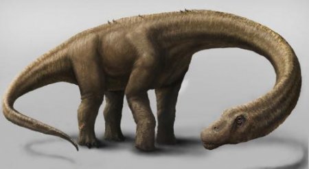 В Китае нашли огромное скопление останков динозавров юрского периода
