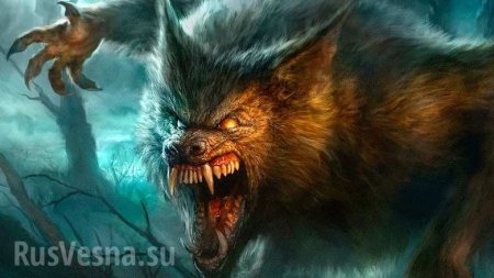 «Вампир»-убийца: обескровленные овцы гибнут на Западной Украине от клыков неизвестного зверя (ВИДЕО)