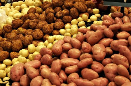 «Белый или красный?»: Эксперт рассказал о лучшем сорте картофеля