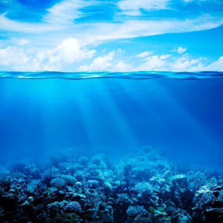 Учёные: Уровень Мирового океана за последние 25 лет стремительно вырос