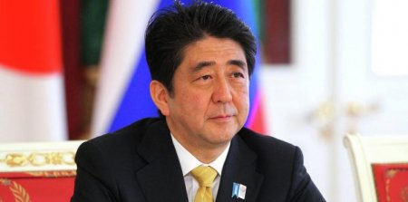 Абэ отреагировал на предложение Путина по мирному договору между РФ и Японией