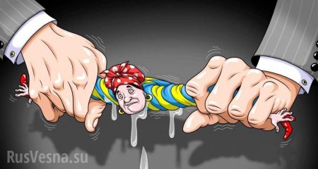 «Налоговые мошенники» грабят изнурённую Украину прямо на глазах у ЕС, — Spiegel