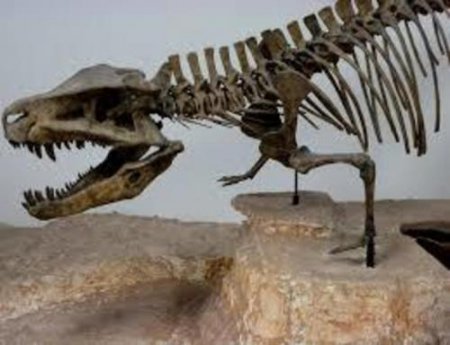 На юге Африки учёные нашли неизвестного гигантского динозавра