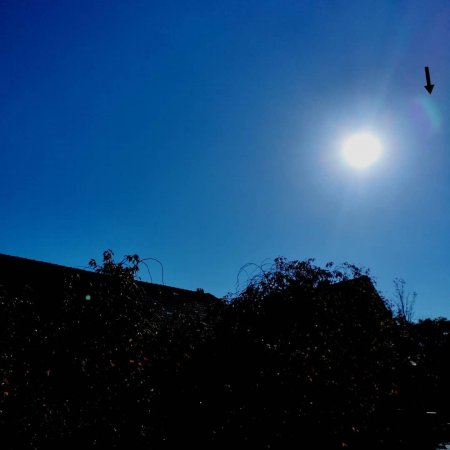 «Нибиру сдулась»: «Полумесяц Планеты Х» преследует Солнце в погоне за Землей – соцсети