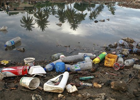 Европарламент частично запретил одноразовый пластик