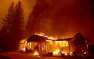 Жителей Калифорнии не оповестили о смертоносных пожарах, «чтобы не вызвать  ...