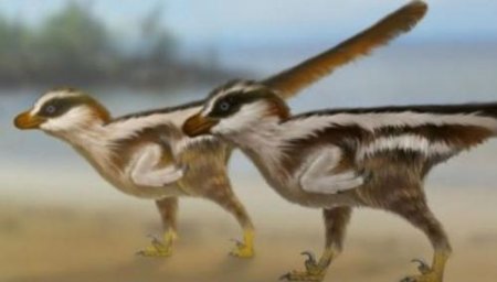 Ученые нашли мельчайшие следы динозавра