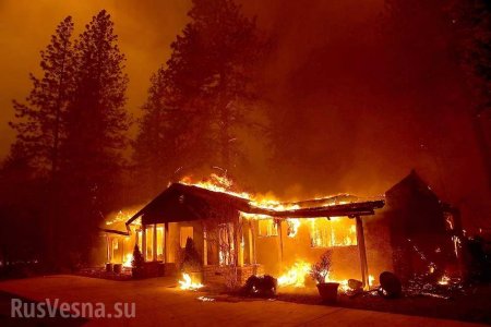 Жителей Калифорнии не оповестили о смертоносных пожарах, «чтобы не вызвать паники»