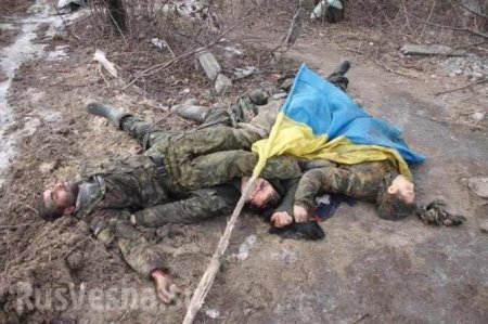 Донбасс: 2 спецгруппы ВСУ попытались прорваться на позиции ДНР, но понесли потери