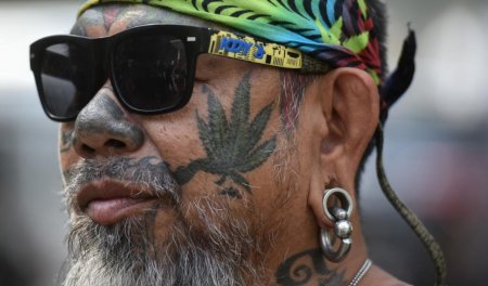 Таиланд легализировал марихуану