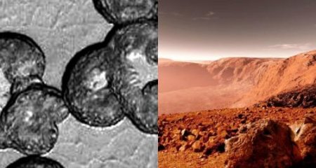 Цивилизация Е-образных пришельцев: Находка на Марсе ужаснула уфологов