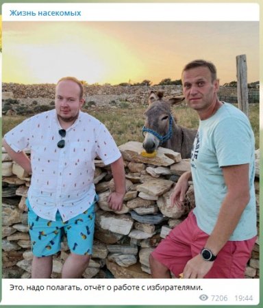 Вместо жены на отдых в Турцию Навальный взял Албурова