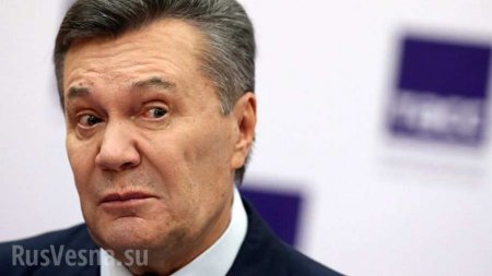 Чьи 1,5 млрд конфисковали на Украине: Янукович непричастен к «деньгам Януковича» (ДОКУЕНТ)