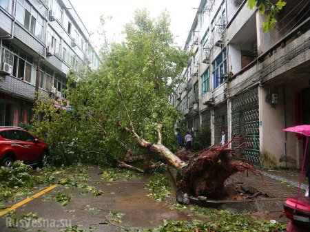 Десятки человеческих жизней и миллиардный ущерб: Китай после удара супертайфуна (ФОТО, ВИДЕО)