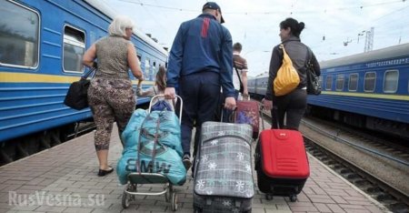 «Они едут к нам работать!» — Эстония отменила бесплатные визы для украинцев