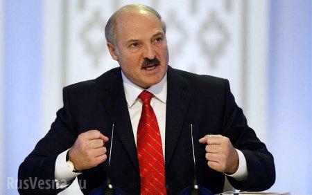 «Хороший ремень иногда полезен»: Лукашенко жёстко раскритиковал идеи о противодействии домашнему насилию
