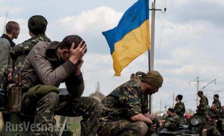 ВСУ готовятся к разведению сил на Донбассе 8 ноября