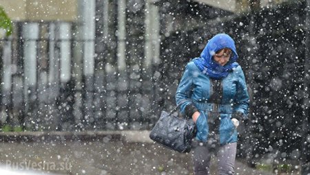 Страшное повышение температуры, это просто ужас — главный синоптик Украины о том, что творится с погодой (ВИДЕО)
