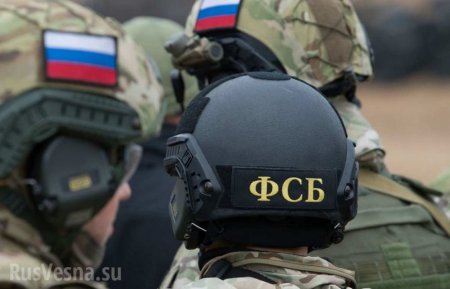 Сотни патронов, гранаты и запалы: на востоке Крыма найден схрон (ФОТО)