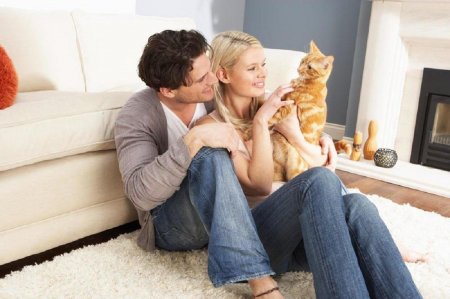 Защитник брака: рыжий кот поможет избежать размолвки — эзотерик