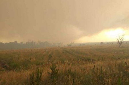 Страшный пожар на Донбассе: горит лес и село, есть жертвы, население эвакуируют (ФОТО, ВИДЕО)