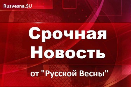 МОЛНИЯ: Навальный находится при смерти — отравление (+ВИДЕО)