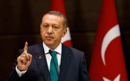 Эрдоган сделал угрожающее заявление по Сирии
