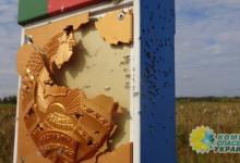 В Белоруссии заявили об обстреле пограничного знака с территории Украины
