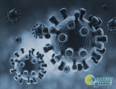 В ВОЗ подсчитали, сколько жителей Европы умрет от коронавируса осенью