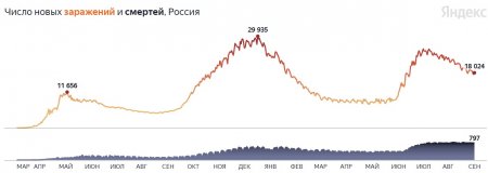 Петербург на первом месте по числу заражений: коронавирус в России