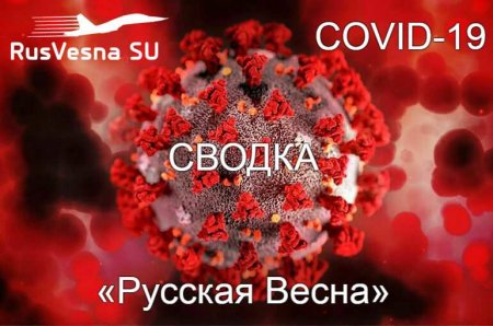 Минимум смертей с конца сентября: коронавирус в России