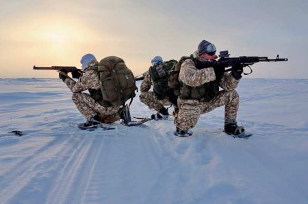 МИД РФ: Арктика превращается в театр военных действий