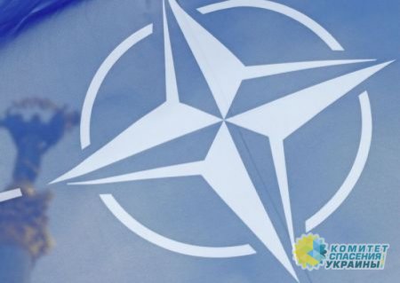 НАТО готовится к саммиту в Мадриде