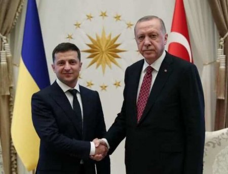 Эрдоган и Зеленский начали переговоры во Львове
