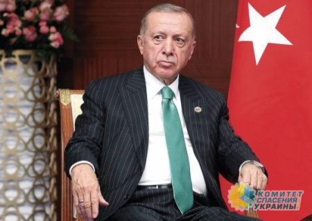Эрдоган продолжает пытаться организовать переговоры Путина с Зеленским