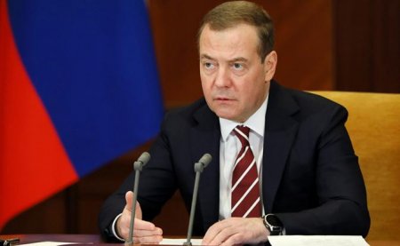 Медведев поддержал требование Аргентины к Британии вернуть Мальвинские острова
