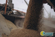 В Польше недовольны слишком запоздалым решением о запрете ввоза зерна с Укр ...