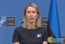 Премьер Эстонии хочет видеть Украину в НАТО