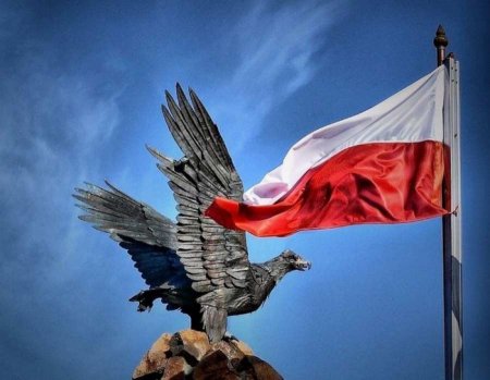 «Это Польша, здесь говорят по-польски»: украинцам вернулся запущенный бумер ...