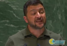 На Украине сфальцифицировали видео выступления Зеленского в ООН