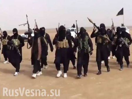 «Западные профессионалы» создают для ИГИЛ оружие массового уничтожения