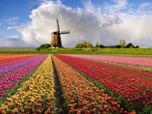 Нидерланды поддержали безвизовый режим для Украины