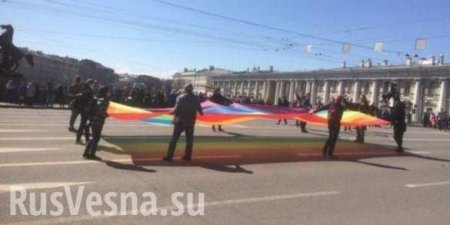 Полиция Петербурга пресекла побоище между ЛГБТ и веганами (ВИДЕО)