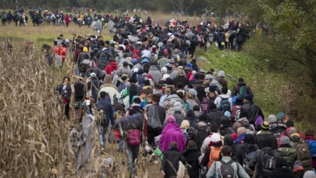 До 300 тыс. мигрантов прибудут в Германию в 2016 году