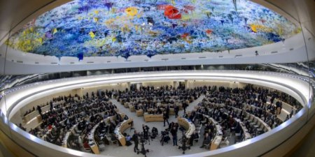Совет ООН по правам человека решил расследовать действия 