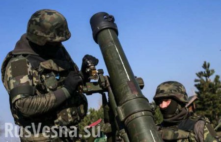 ВСУ открывали минометный огонь по Лозовому и Калиново, — Народная милиция ЛНР
