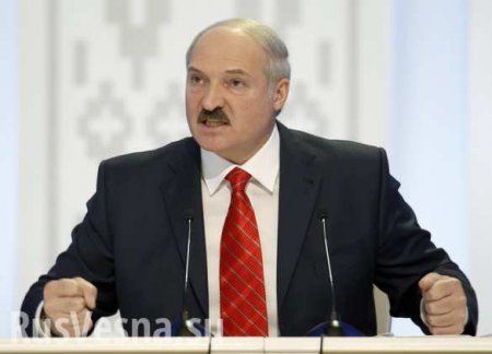 Лукашенко: мы готовы помочь провести выборы на Донбассе