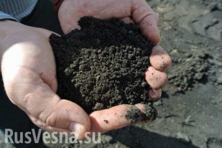 «Закончится земля — начнут продавать людей» — эксперт о перспективах Украины (ВИДЕО)