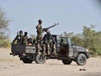 В Нигере ликвидированы 57 боевиков 