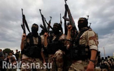 Россия подозревает, что США берегут «ан-Нусру» для свержения Асада
